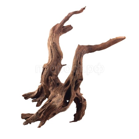 Грот Prime Коряга натуральная затонувшая M 30-50 см Грот Prime Коряга натуральная затонувшая M 30-50 см