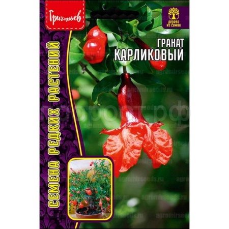 Редкие растения Гранат Карликовый 5шт  Редкие растения Гранат Карликовый 5шт
