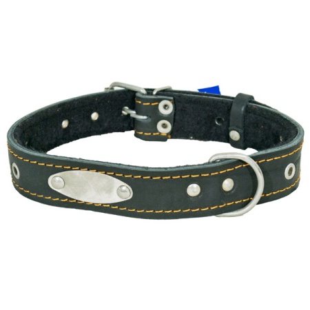 Ошейник кожа 30мм безразмерный с пластиной на фетре 60-65см/41288 Ошейник кожа 30мм безразмерный с пластиной на фетре 60-65см/41288