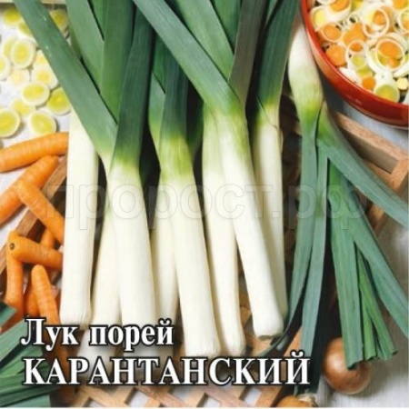 Лук порей Карантанский 10г Лук порей Карантанский 10г