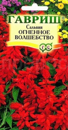 Сальвия Огненное волшебство 0,05г Сальвия Огненное волшебство 0,05г