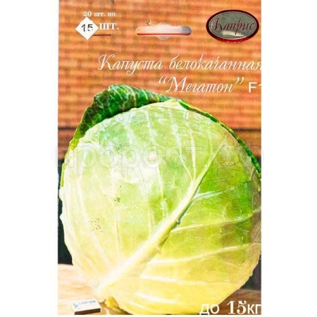 Капуста белокочанная Мегатон F1 20*15шт  Капуста белокочанная Мегатон F1 20*15шт