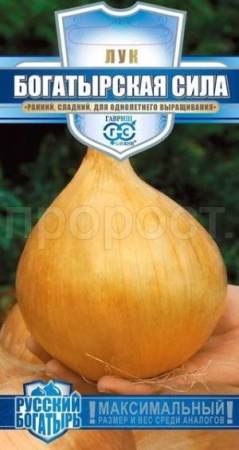 Лук репчатый Богатырская сила 0,2г  Лук репчатый Богатырская сила 0,2г
